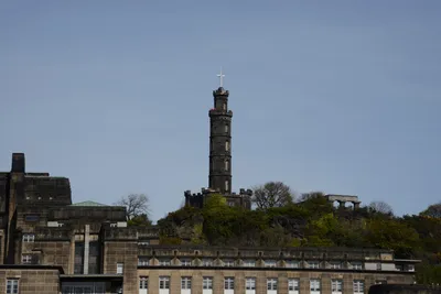 DSC_7359 (Large).JPG